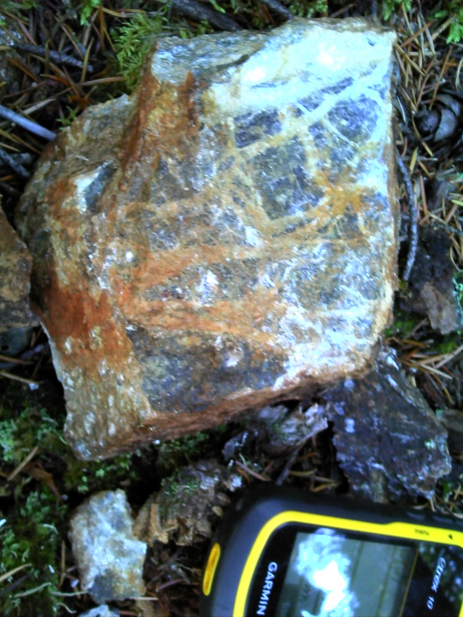 2019 Calcite veining in Serpentite