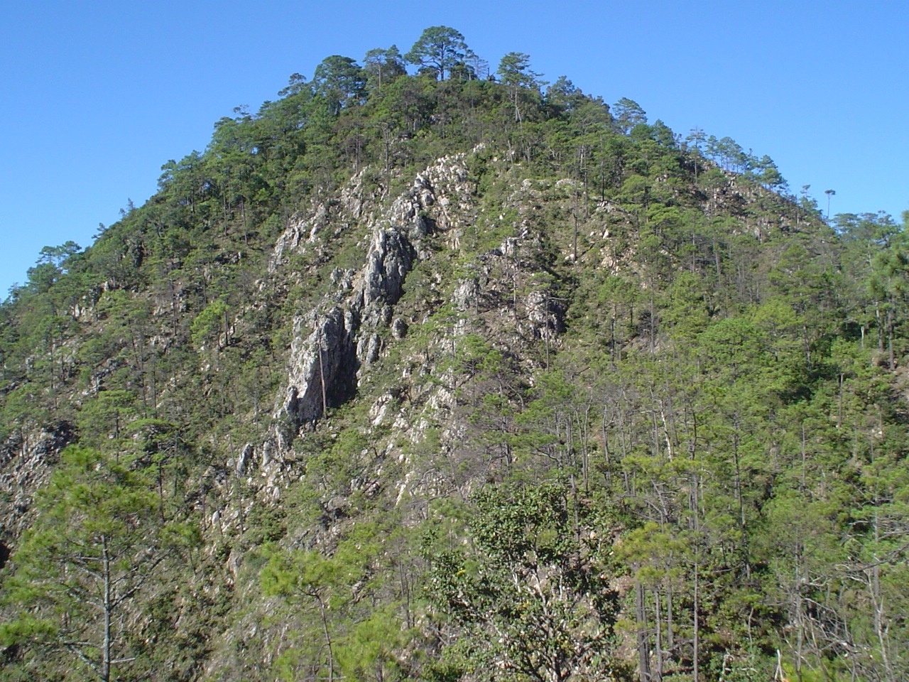 Rock outcrop at Pena Blanca