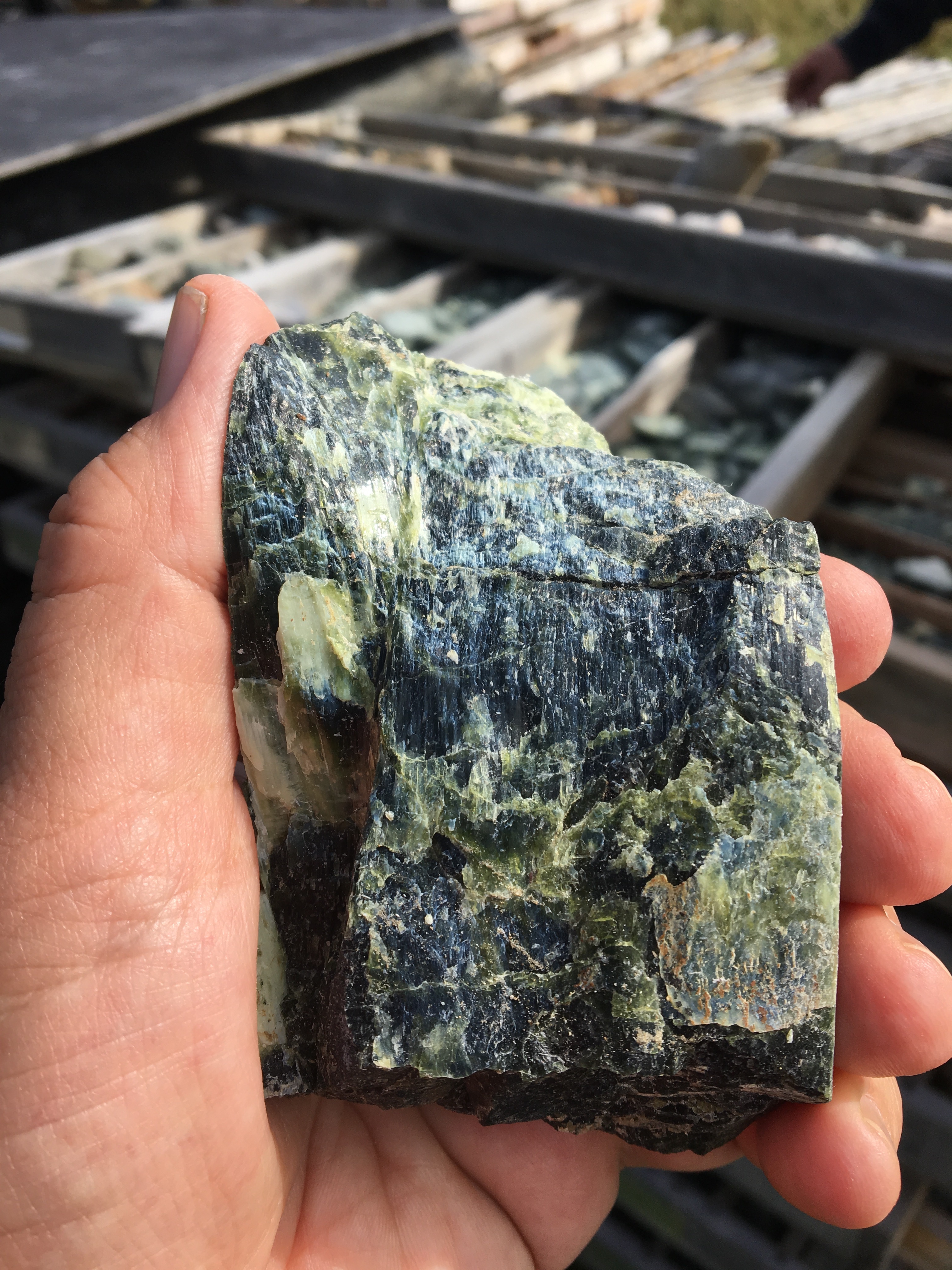 Nickel sulphide-bearing serpentinite from drill core.